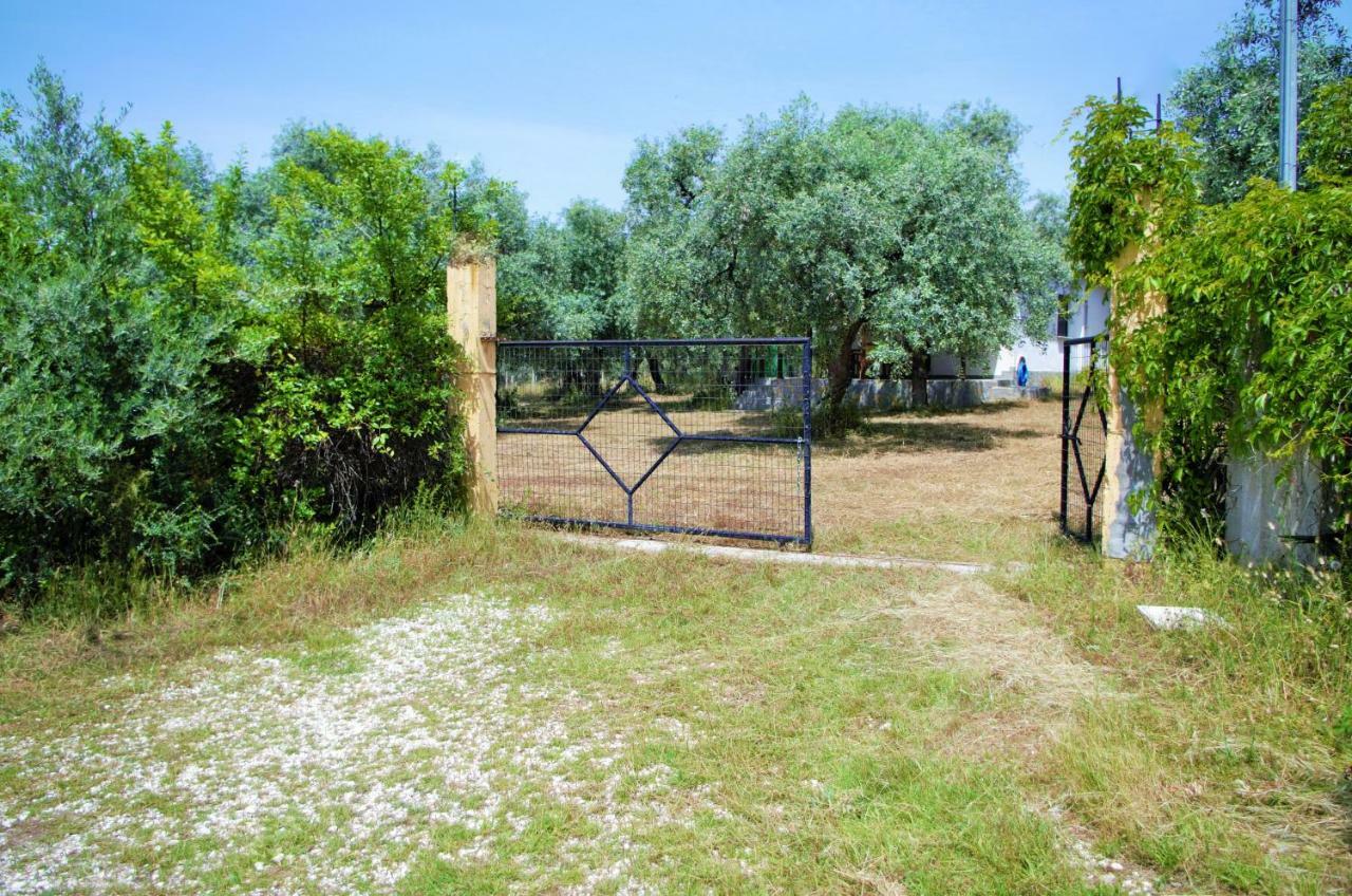 Vila Ktima Elia Skala Sotiros Exteriér fotografie